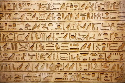 Image of Egyptian Hieroglyphs Wallpaper Mural, Custom Sizes Available