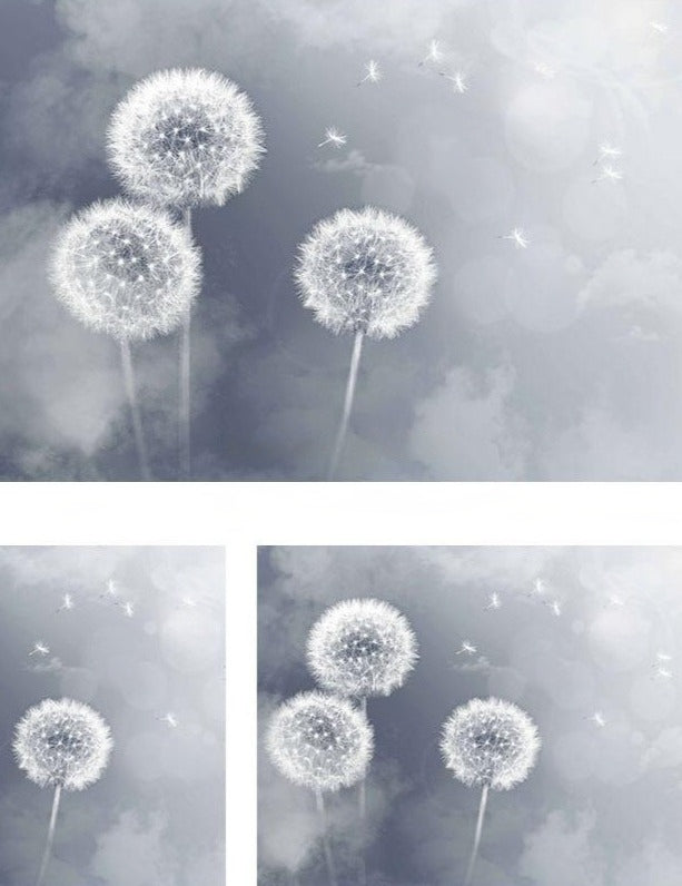 Dandelions Dispersing on a Gray Background Wallpaper Mural, Custom Sizes Available