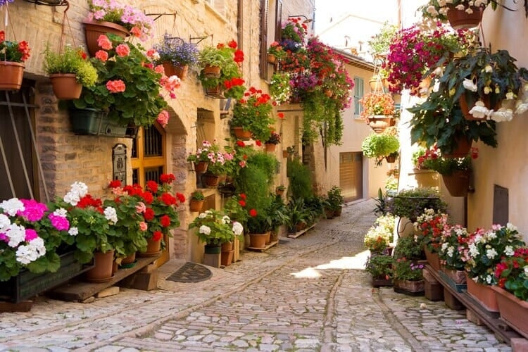 Enchanting European Alley Scene Wallpaper Mural, Custom Sizes Available