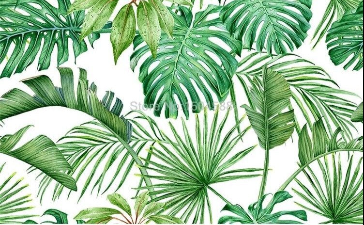 Tropical Plant Green Leaves Wallpaper Mural, Custom Sizes Available