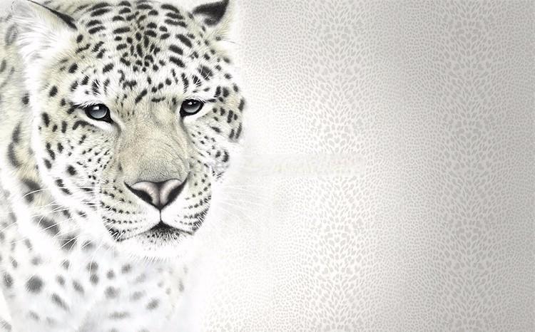 White Leopard Wallpaper Mural, Custom Sizes Available