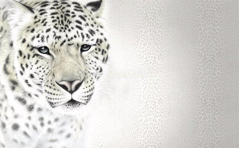 Image of White Leopard Wallpaper Mural, Custom Sizes Available