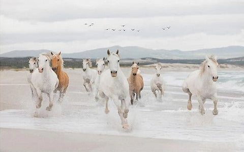 Image of Wild Horses Running On Beach Wallpaper Mural, Custom Sizes Available