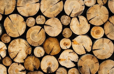 Image of Mural de piso autoadhesivo de grano de madera de anillo de árbol, tamaños personalizados disponibles