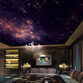 4 Space Wallpaper Murals, Custom Sizes Available Ceiling Murals Maughon's 