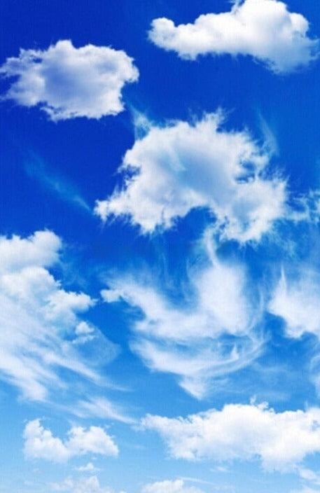 Blue Sky And White Clouds Ceiling Wallpaper Mural, Custom Sizes Available