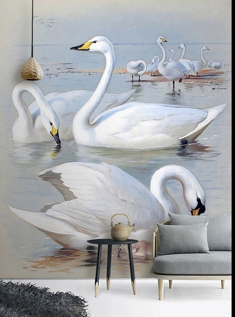 Swans On a Lake Wallpaper Mural, Custom Sizes Available