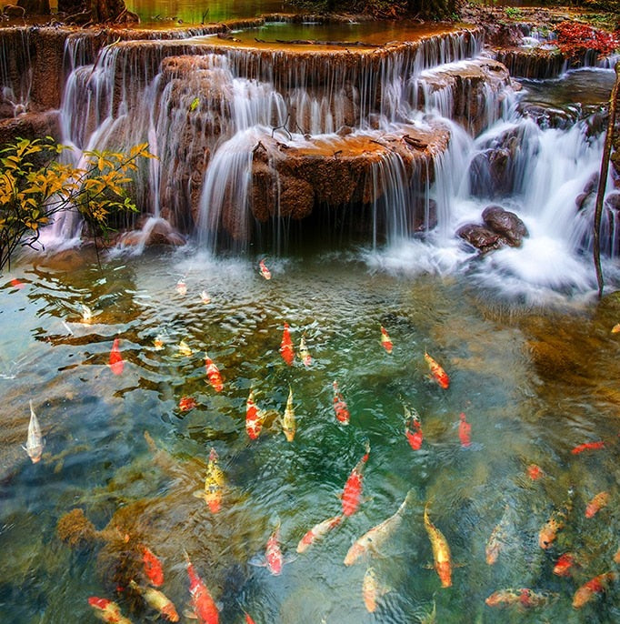 Pond With Waterfall and Koi Self Adhesive Floor Mural, Custom Sizes Available
