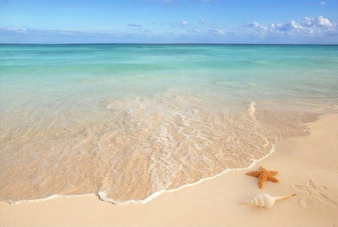 Image of Sandy Beach With Shells Self Adhesive Floor Mural, Custom Sizes Available