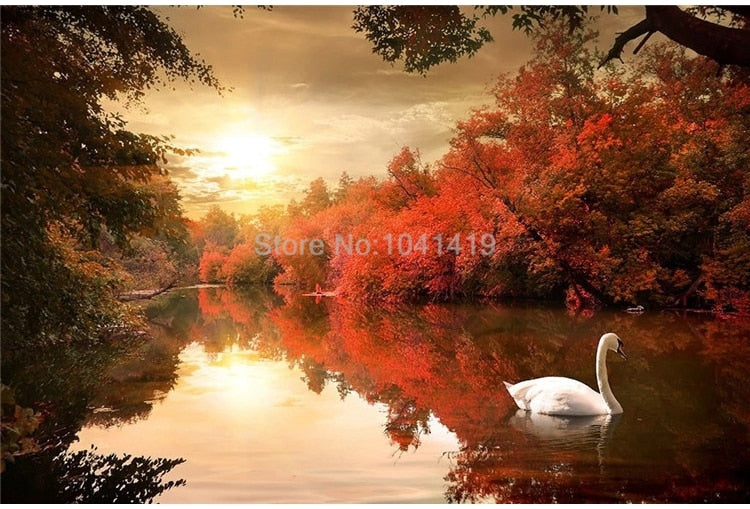 Autumn Dusk on Swan Lake Wallpaper Mural, Custom Sizes Available Maughon's 