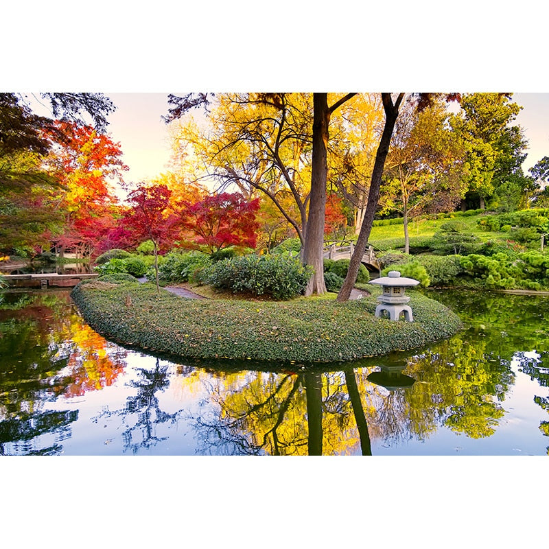 Autumn In The Park Wallpaper Mural, Custom Sizes Available Wall Murals Maughon's 
