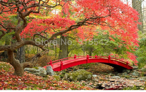 Image of Awesome Fall Foliage and Red Bridge Wallpaper Mural, Custom Sizes Available Wall Murals Maughon's 