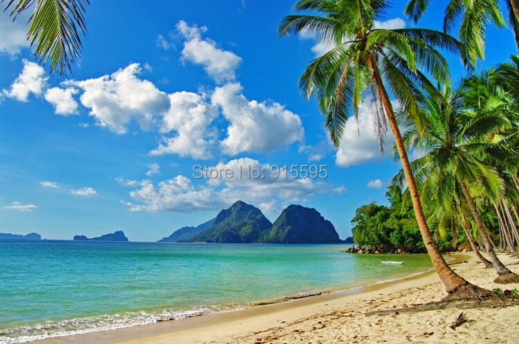 Beach Coconut Trees Wallpaper Mural, Custom Sizes Available Wall Murals Maughon's 