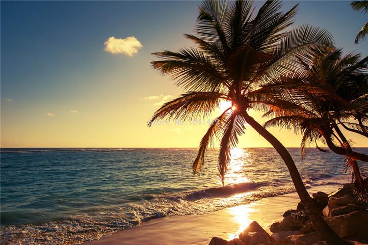 Beach, Sunset and Coconut Palm Wallpaper Mural, Custom Sizes Available Wall Murals Maughon's 