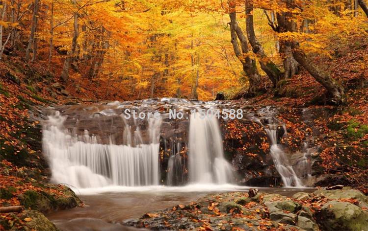 Beautiful Autumn Forest Waterfall Wallpaper Mural, Custom Sizes Available Maughon's 