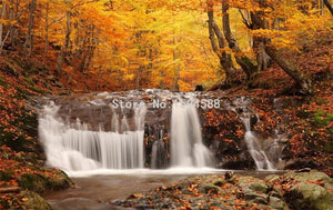 Beautiful Autumn Forest Waterfall Wallpaper Mural, Custom Sizes Available