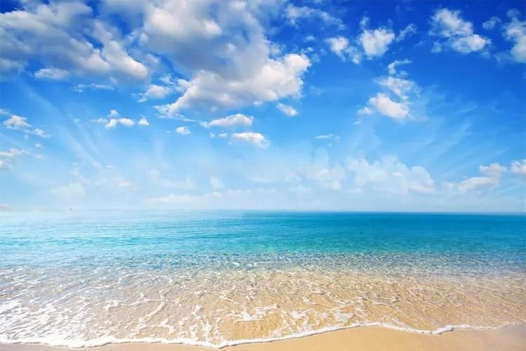 Beautiful Beach With Blue Skies Wallpaper Mural, Custom Sizes Available