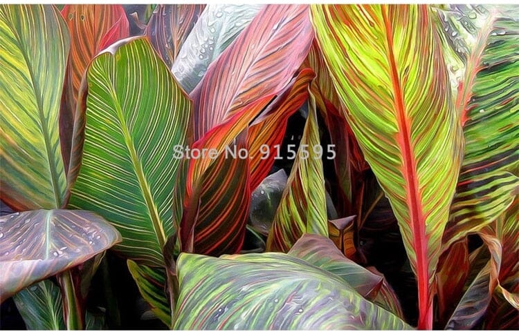 Beautiful Close-up View of Tropical Leaves Wallpaper Mural, Custom Sizes Available Wall Murals Maughon's 