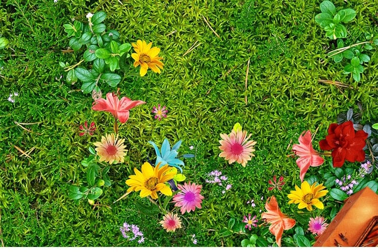 Beautiful Flowers on the Grass Floor Mural, Custom Sizes Available Floor Murals Maughon's 