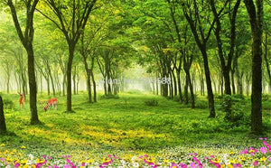 Beautiful Green Meadow and Trees Wallpaper Mural, Custom Sizes Available