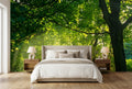 Beautiful Green Meadow and Trees Wallpaper Mural, Custom Sizes Available Wall Murals Maughon's 