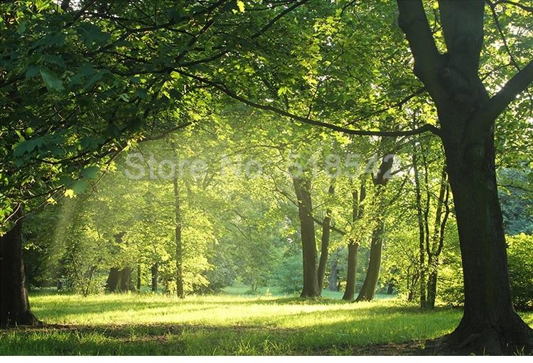 Beautiful Green Meadow and Trees Wallpaper Mural, Custom Sizes Available Wall Murals Maughon's 