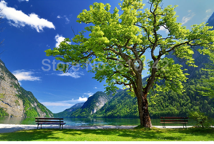 Beautiful River Valley Vista Wallpaper Mural, Customer Sizes Available Wall Murals Maughon's 