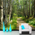 Birch Lined Dirt Path Wallpaper Mural, Custom Sizes Available Household-Wallpaper Maughon's 