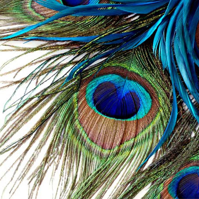 Blue Peacock Feather Wallpaper Mural, Custom Sizes Available Wall Murals Maughon's 