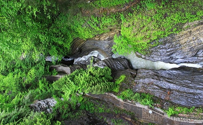 Canyon Ravine With Running Water Self Adhesive Floor Mural, Custom Sizes Available Maughon's 