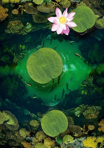 Image of Lily Pad Pond Floor Mural, Custom Sizes Available
