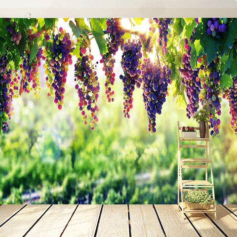 Image of Clusters of Purple Grapes In Vinyard Wallpaper Mural, Custom Sizes Available Wall Murals Maughon's 