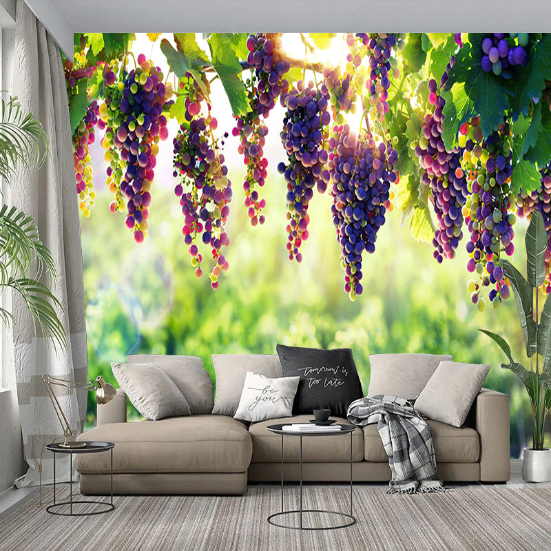 Clusters of Purple Grapes In Vinyard Wallpaper Mural, Custom Sizes Available Wall Murals Maughon's 