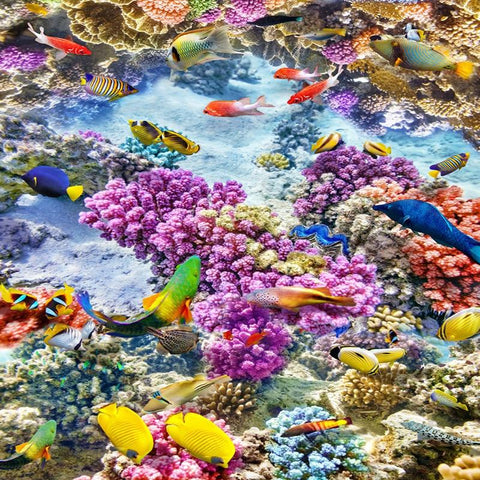 Image of Colorful Coral and Tropical Fish Self Adhesive Floor Mural, Custom Sizes Available Floor Murals Maughon's 
