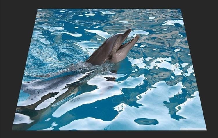 Dolphin at Play Vinilo PVC Floor Mural, autoadhesivo, tamaños personalizados disponibles
