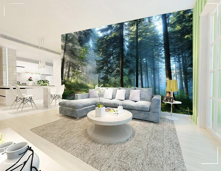 Sunrise On Evergreen Forest Wallpaper Mural, Custom Sizes Available