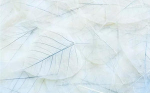 Papel pintado de hojas transparentes, tamaños personalizados disponibles