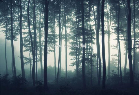Image of Foggy Forest Wallpaper Mural, Custom Sizes Available Maughon's 