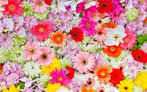 Freshly Picked Flowers Floor Mural, Custom Sizes Available