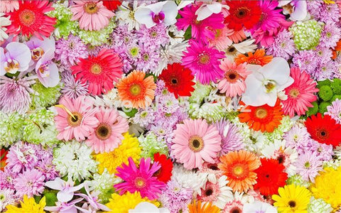 Image of Freshly Picked Flowers Floor Mural, Custom Sizes Available Household-Wallpaper-Floor Maughon's 