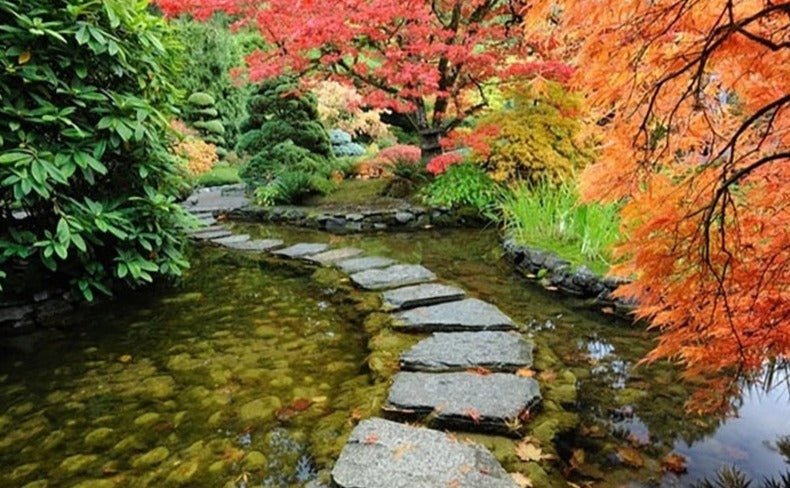Garden Path in Autumn Wallpaper Mural, Custom Sizes Available Wall Murals Maughon's 
