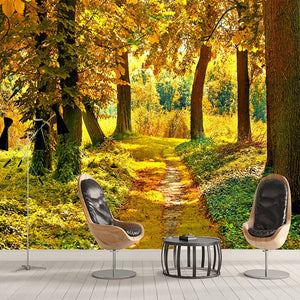 Golden Autumn Leaves and Trees Wallpaper Mural, Custom Sizes Available