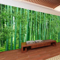 Green Bamboo Forest Landscape Wallpaper Mural, Custom Sizes Available Household-Wallpaper Maughon's 