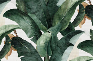 Dark Green Banana Leaves Wallpaper Mural, Custom Sizes Available