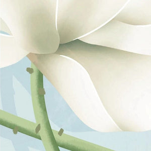 Hand-painted White Waterlilies Wallpaper Mural, Custom Sizes Available