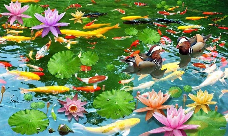 Mural autoadhesivo para suelo Koi y Lotus, tamaños personalizados disponibles