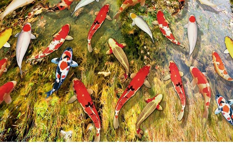 Lake Fish Wallpaper Mural, Custom Sizes Available Maughon's 