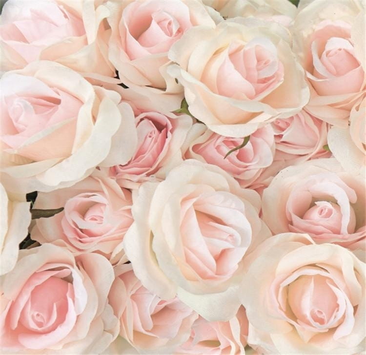 Modern Romantic Warm Pink Rose Wallpaper Mural, Custom Sizes Available