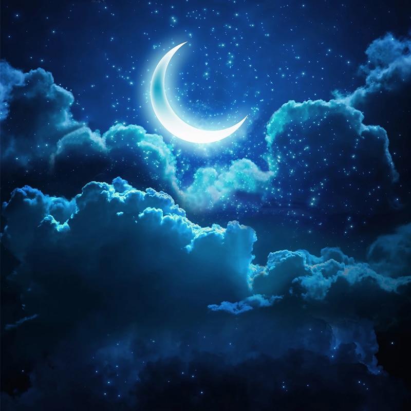 Moon and Starry Sky Ceiling Mural, Custom Sizes Available Maughon's 