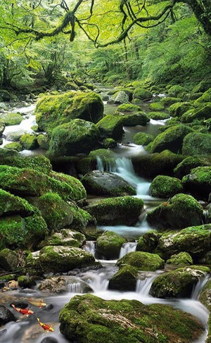 Mossy Rocks and Stream Self Adhesive Floor Mural, Custom Sizes Available